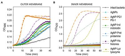 Silver Nanoparticles Functionalized With Antimicrobial Polypeptides: Benefits and Possible Pitfalls of a Novel Anti-infective Tool